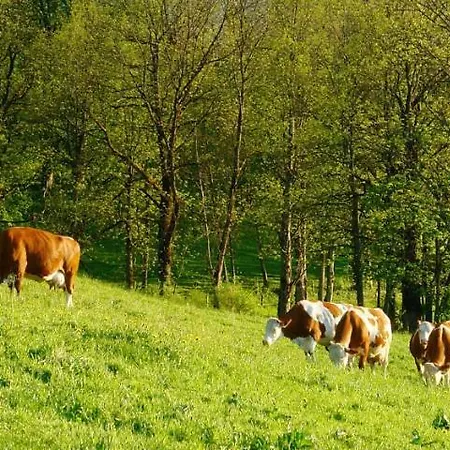Schoesser Fusch an der Grossglocknerstrasse