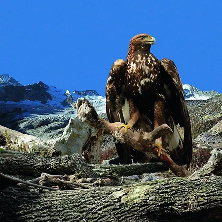 Schoesser Casa de hóspedes